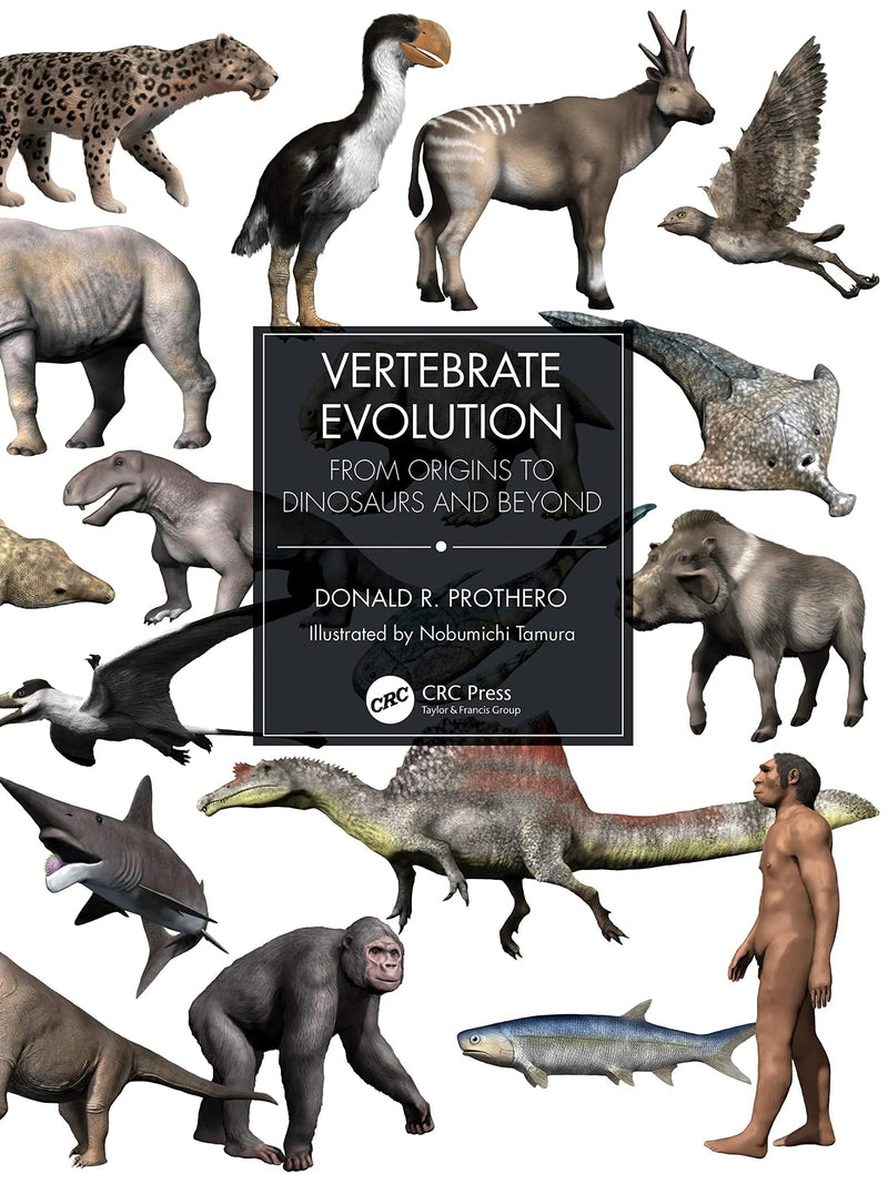 Vertebrate Evolution From Origins to Dinosaurs and Beyond by Donald R. Prothero 1st Edition ISBN 9780367473167