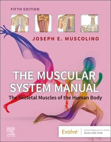 The Muscular System Manual The Skeletal Muscles of the Human Body by Joseph E. Muscolino 5th Edition ISBN 9780323812757
