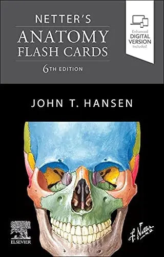 Netter's Anatomy Flash Cards by John T. Hansen 6th Edition ISBN 9780323834179
